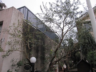 c0152002_18153236.jpg