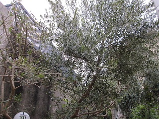 c0152002_1815444.jpg