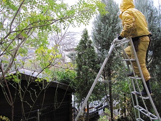 c0152002_18155357.jpg