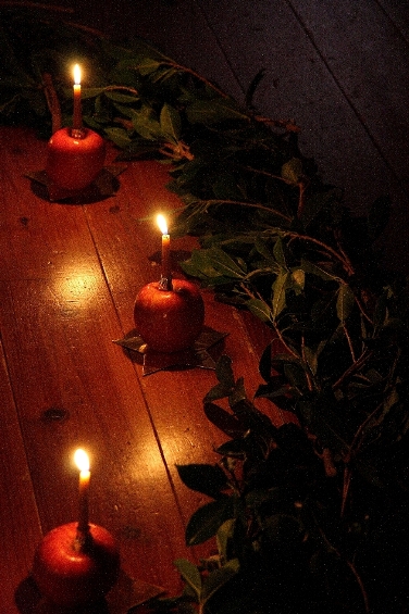 d0136804_2319323.jpg