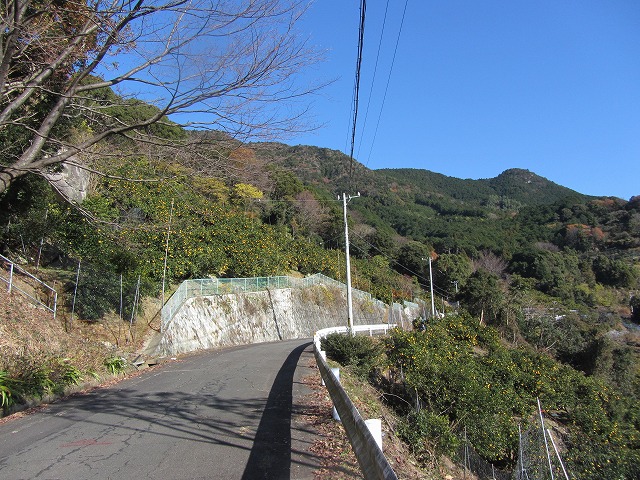 d0154609_15241970.jpg