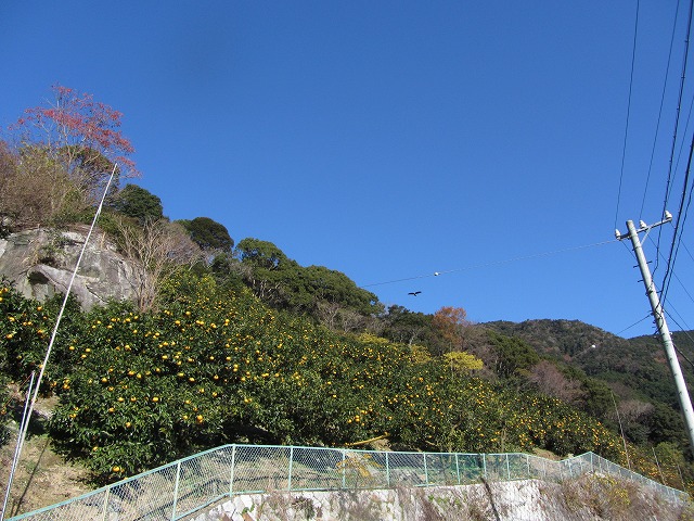 d0154609_15244840.jpg