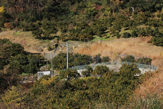 d0154609_15333886.jpg