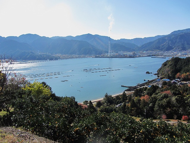 d0154609_1535651.jpg