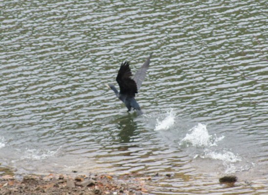 c0042418_9243377.jpg