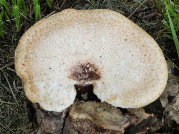 d0136122_1432795.jpg
