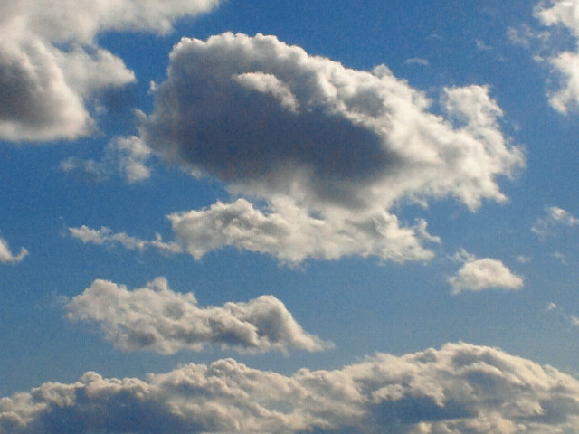 e0270632_151934.jpg
