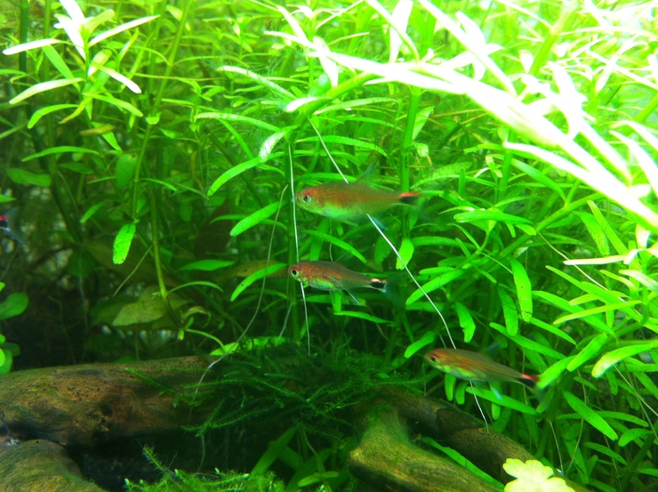 c0250835_150186.jpg