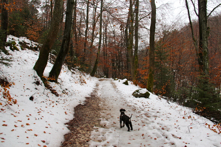 c0153740_02425.jpg