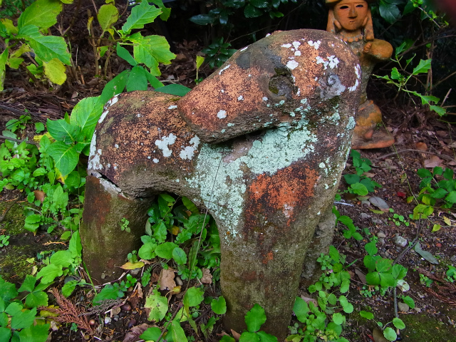 a0087341_4204936.jpg