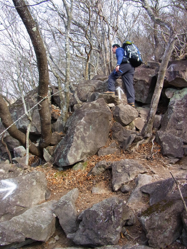 b0190242_18475112.jpg