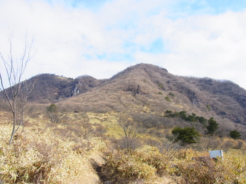b0190242_1922679.jpg