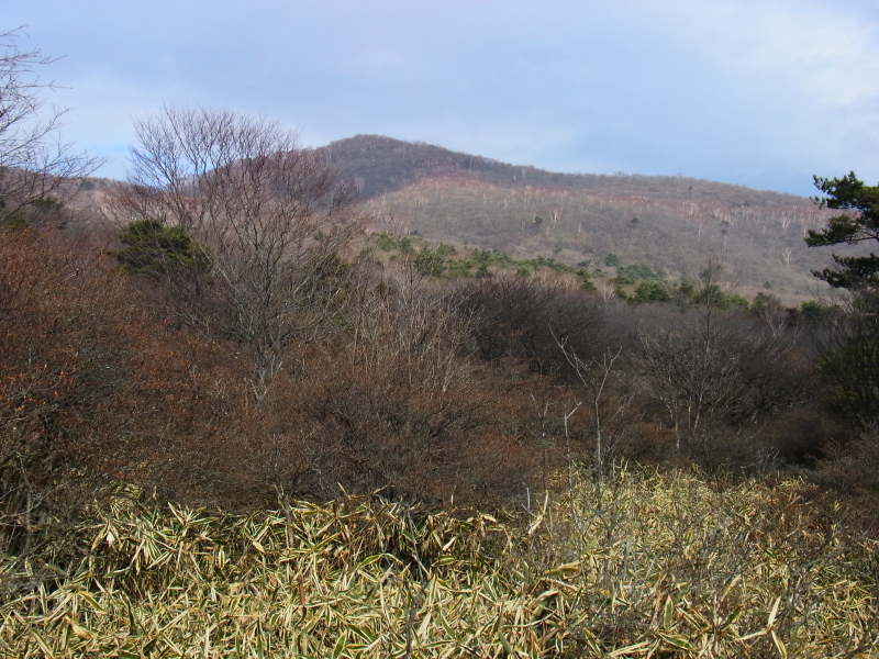 b0190242_1924304.jpg