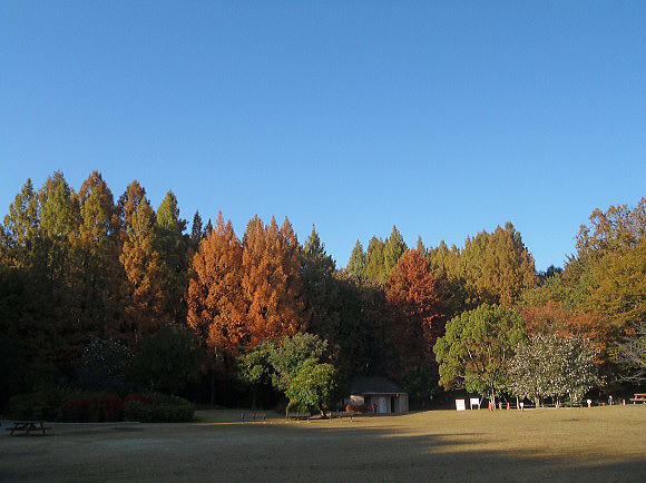 f0094843_20163697.jpg