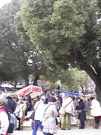 d0103548_1755421.jpg