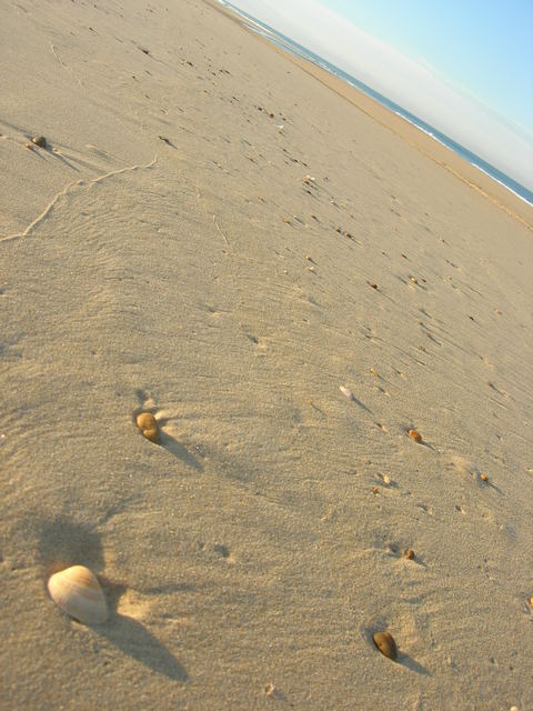 d0284049_233033.jpg