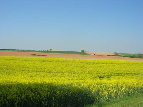d0284049_2331479.jpg