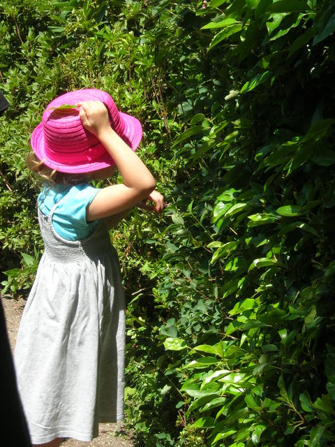 d0284049_3241619.jpg