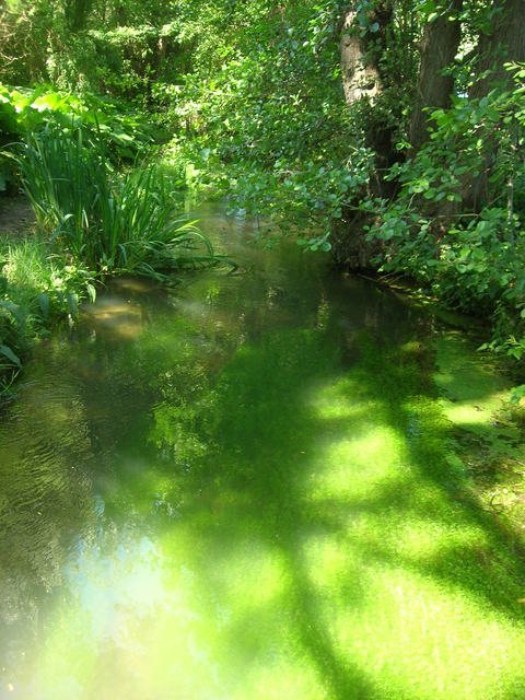 d0284049_335073.jpg