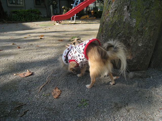 f0154751_22155785.jpg