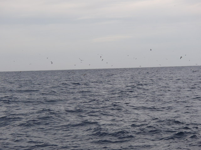 a0248152_18355090.jpg