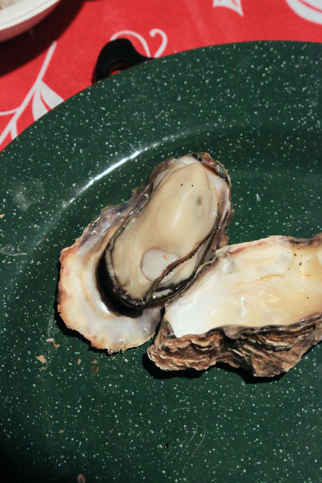 b0049152_20144318.jpg