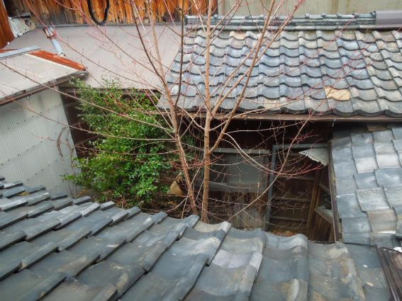 f0178153_0582993.jpg