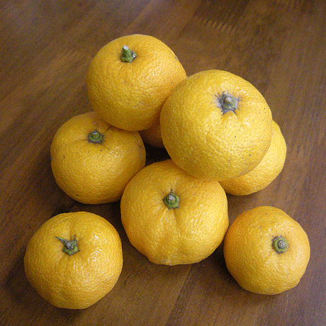 a0001354_22395071.gif