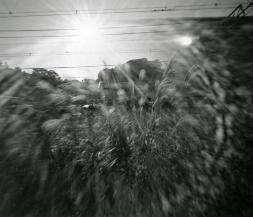 f0117059_212420100.jpg