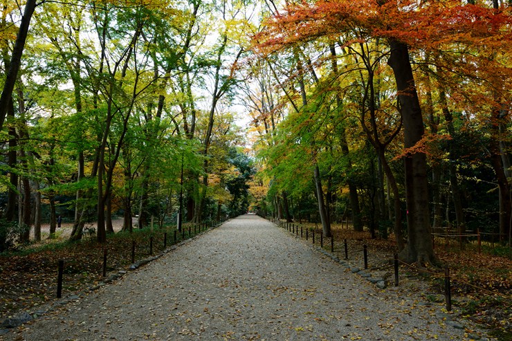 f0222161_1072496.jpg