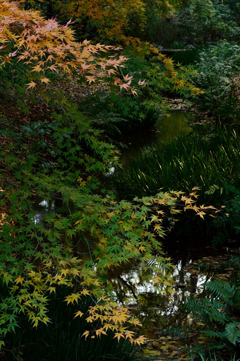 f0222161_1073772.jpg