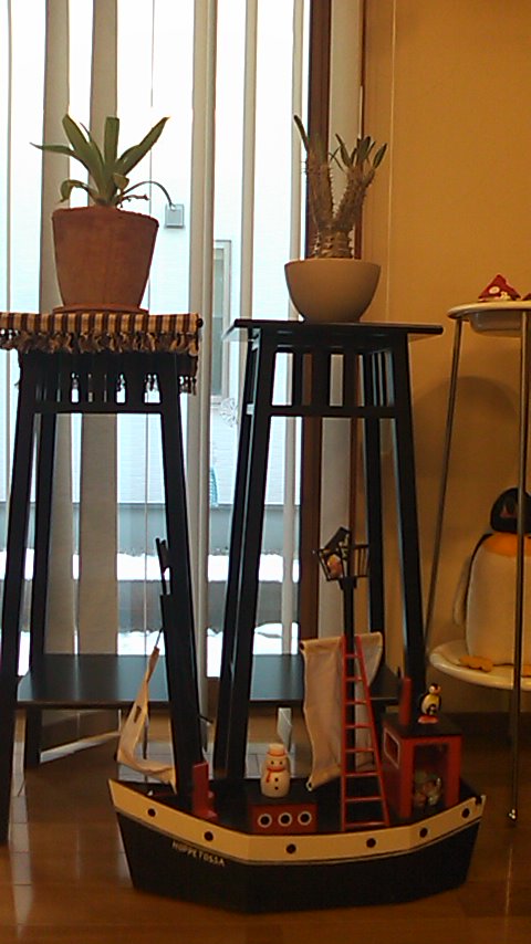 b0242064_456335.jpg