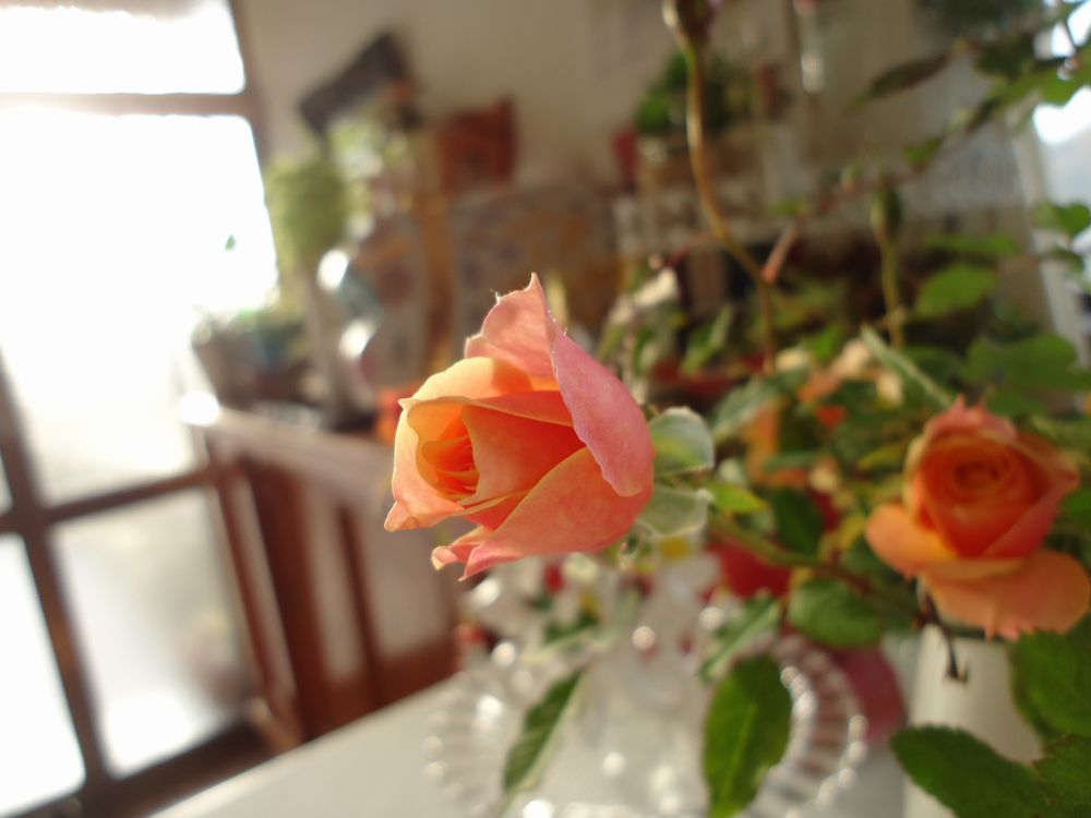 e0264374_12363910.jpg