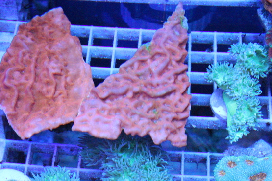 a0161975_18363876.jpg