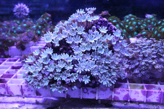a0161975_18372486.jpg
