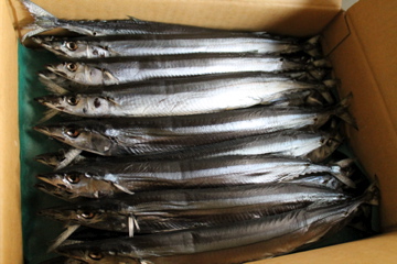 f0054677_133446.jpg