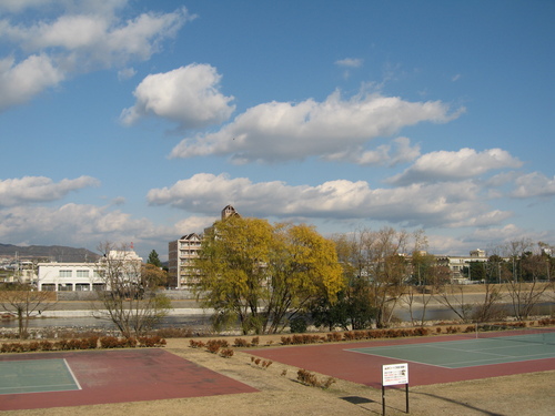a0251786_10233330.jpg