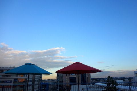 f0137694_843710.jpg