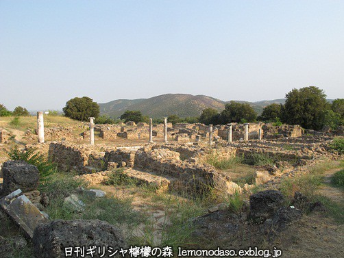 c0010496_19525232.jpg