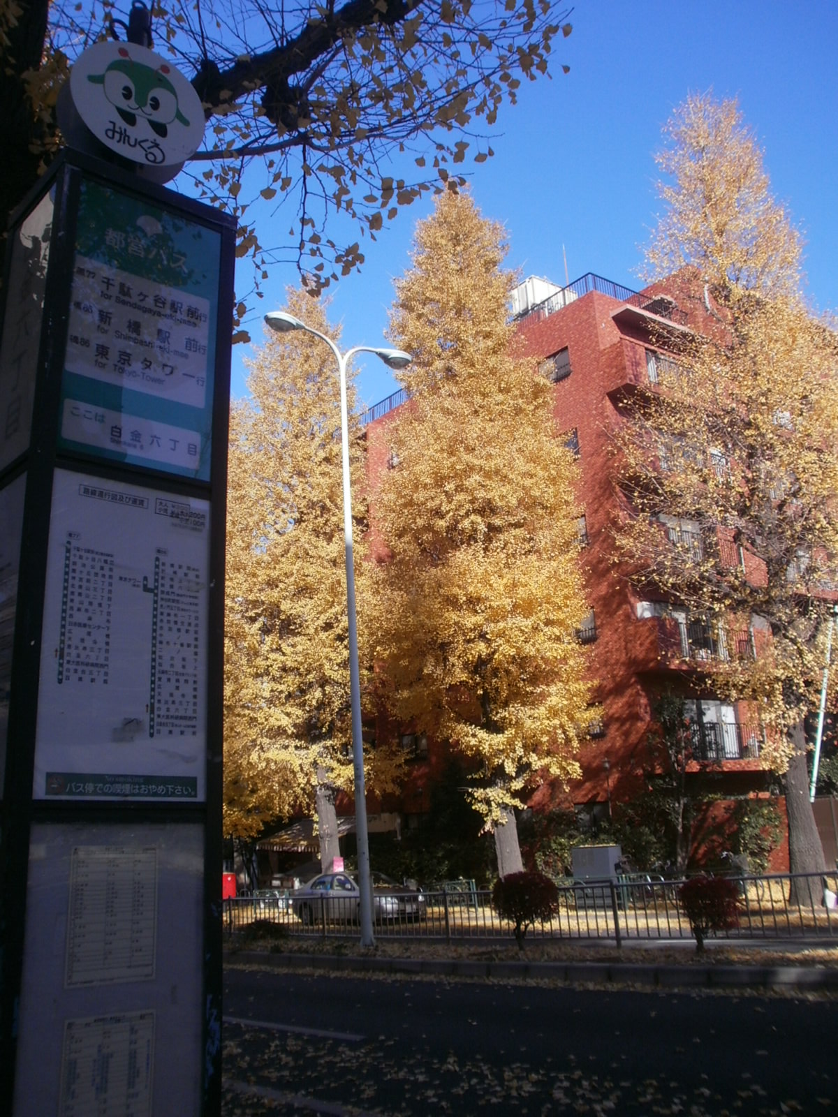 c0251099_1022577.jpg