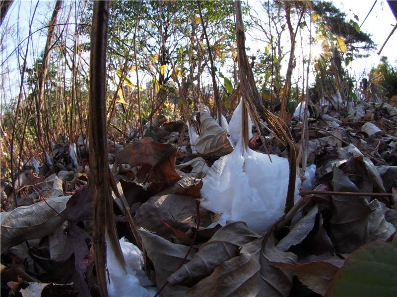 f0224100_17504675.jpg