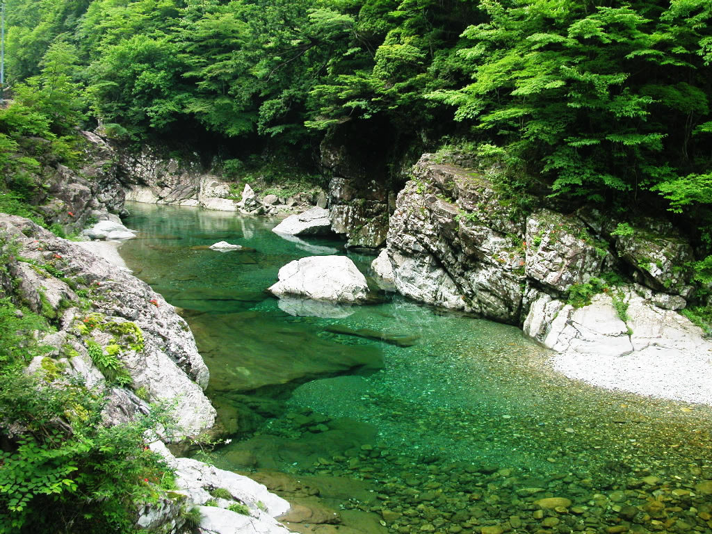 c0072801_015351.jpg