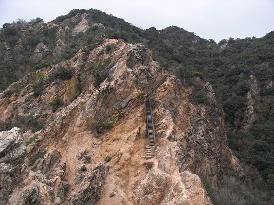 f0187402_21462825.jpg