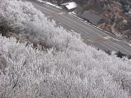 f0187402_21484146.jpg