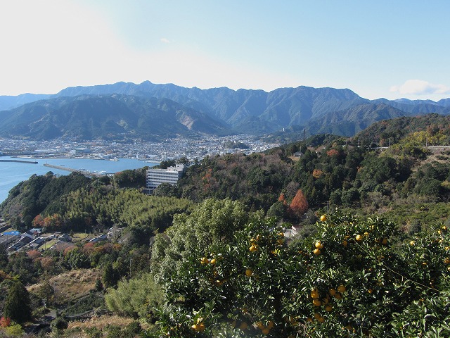 d0154609_10144728.jpg