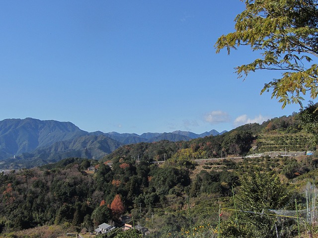 d0154609_10161465.jpg