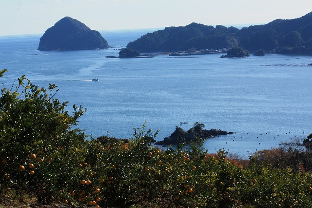 d0154609_10174311.jpg