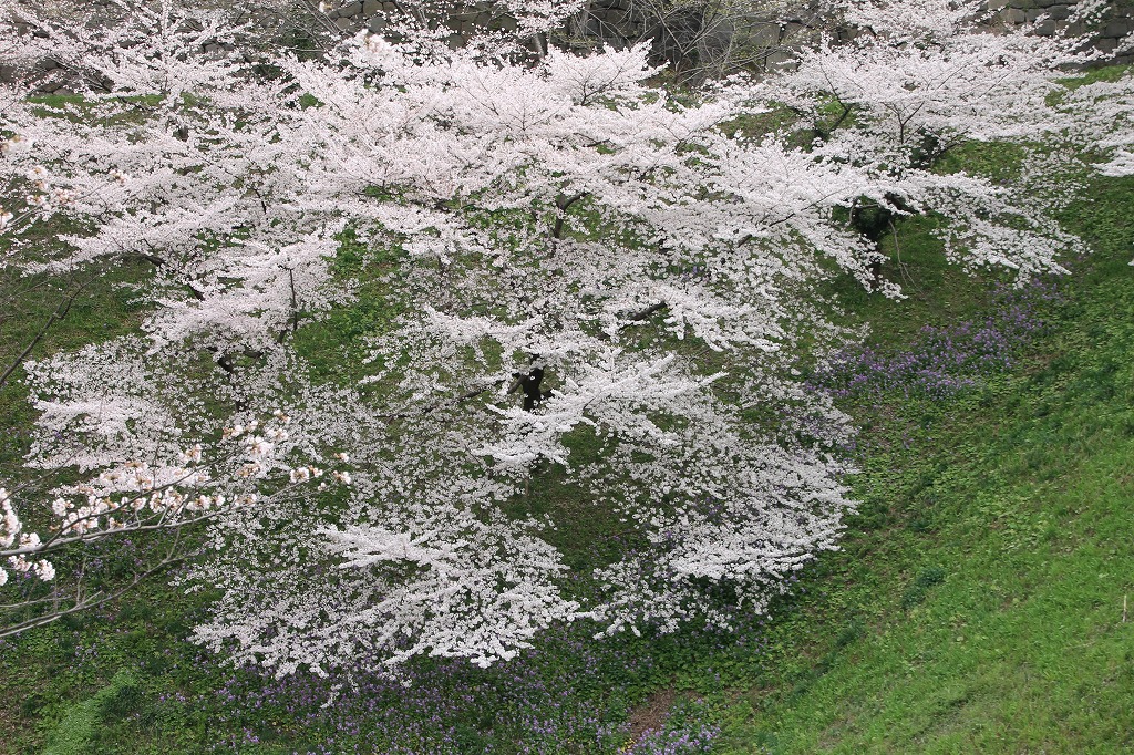 b0162728_1701498.jpg