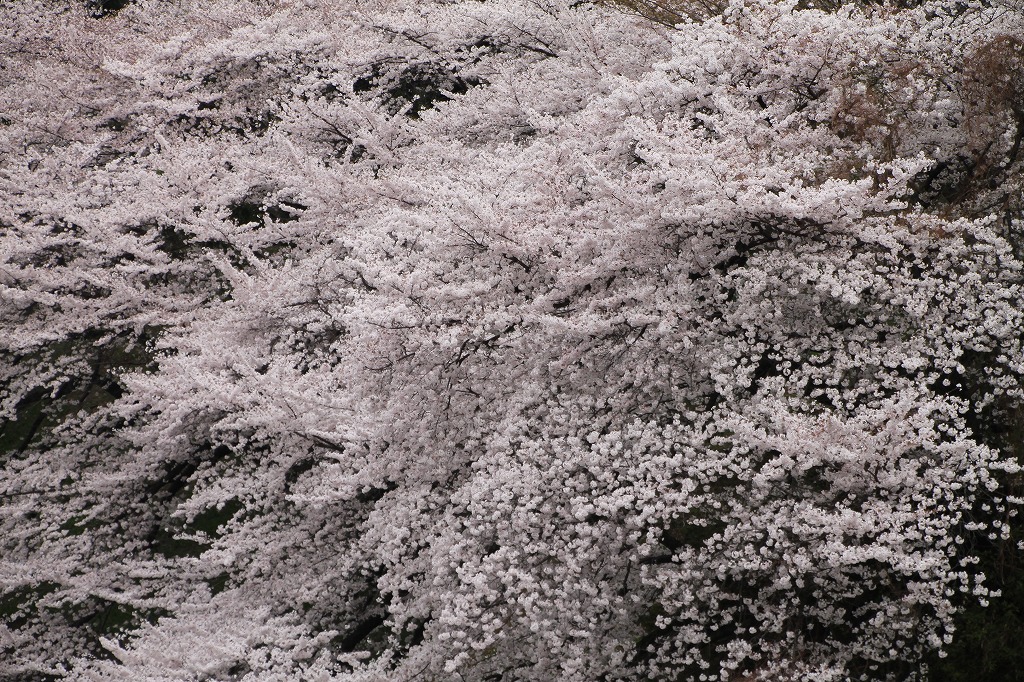 b0162728_1703930.jpg
