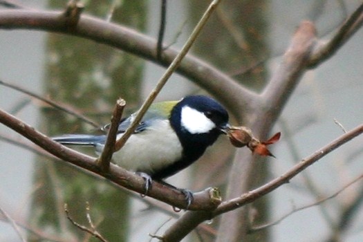 c0134734_21107.jpg